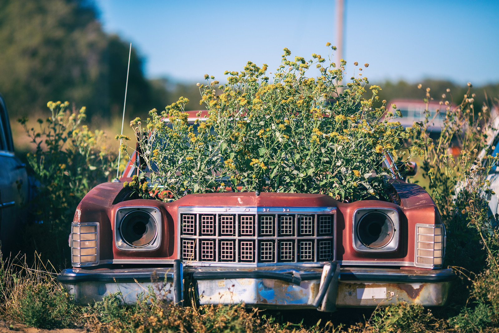 Image credit Thomas Hawk on Wunderstock (license).