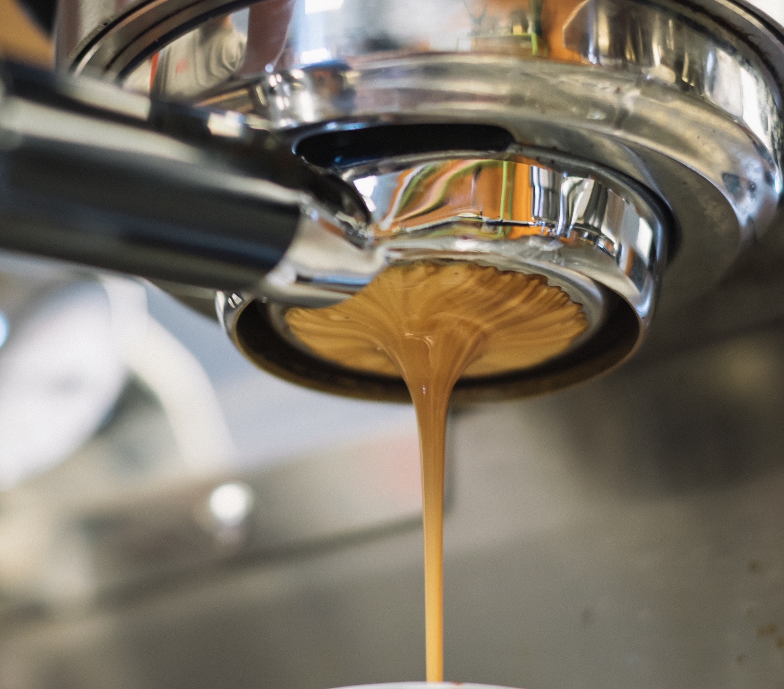 Image by Blake Richard Verdoorn, via Unsplash.com.