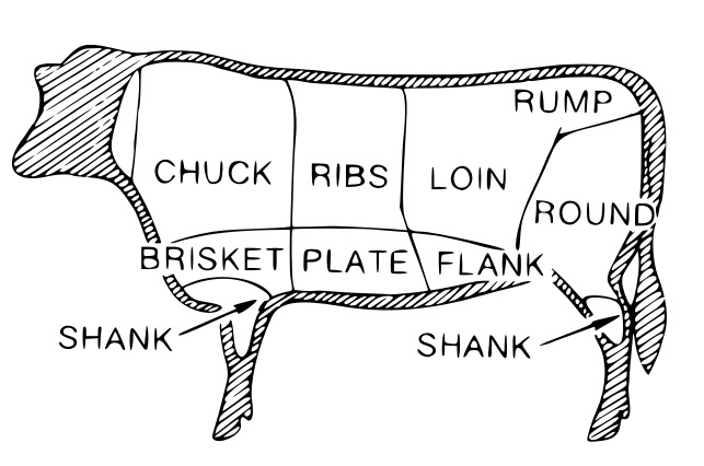 A line-drawn chart showing where the various cuts of beef are on a steer.