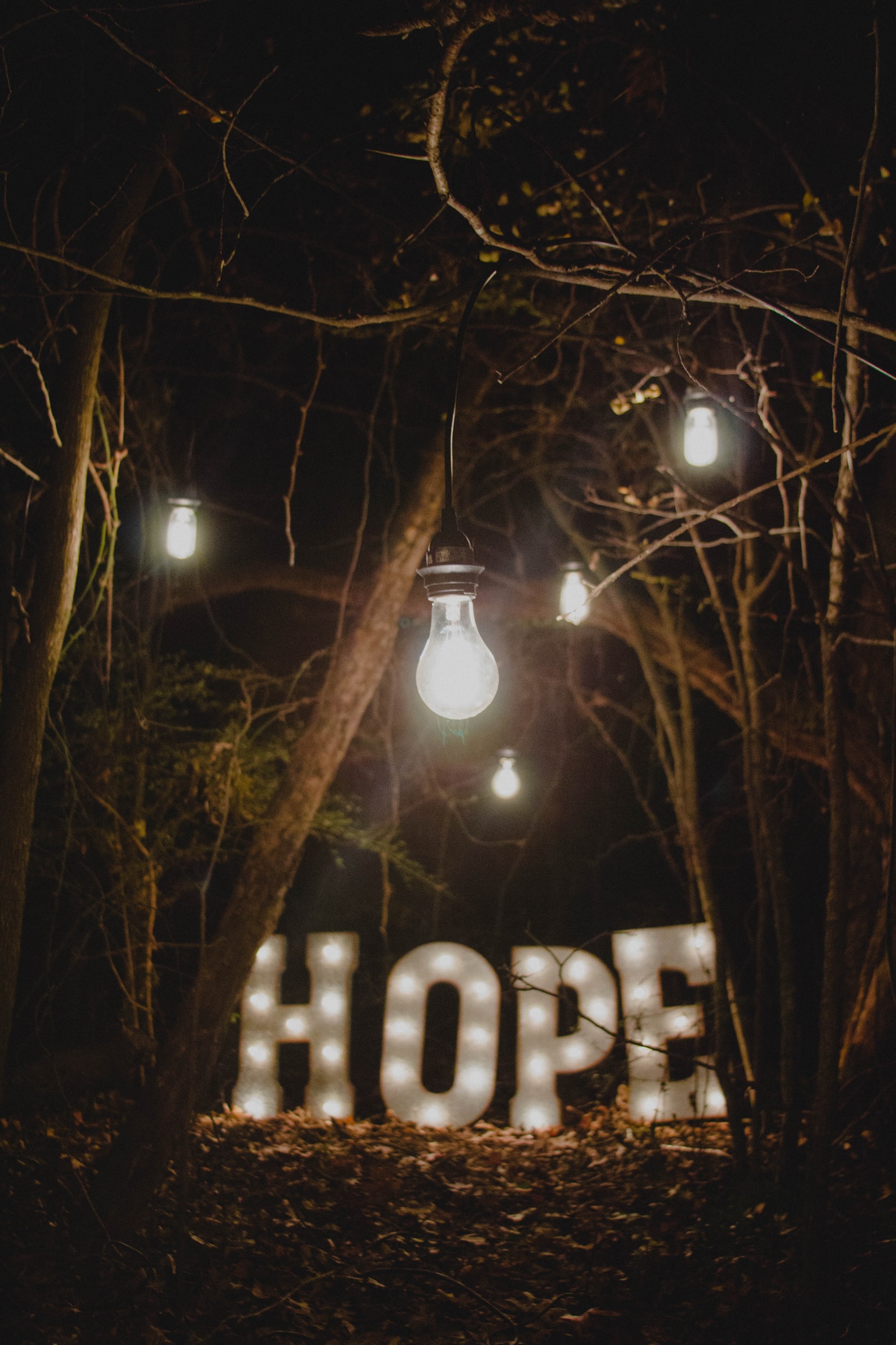 Illuminated block letters spell out the word "HOPE" among trees lit by incandescent light bulbs.