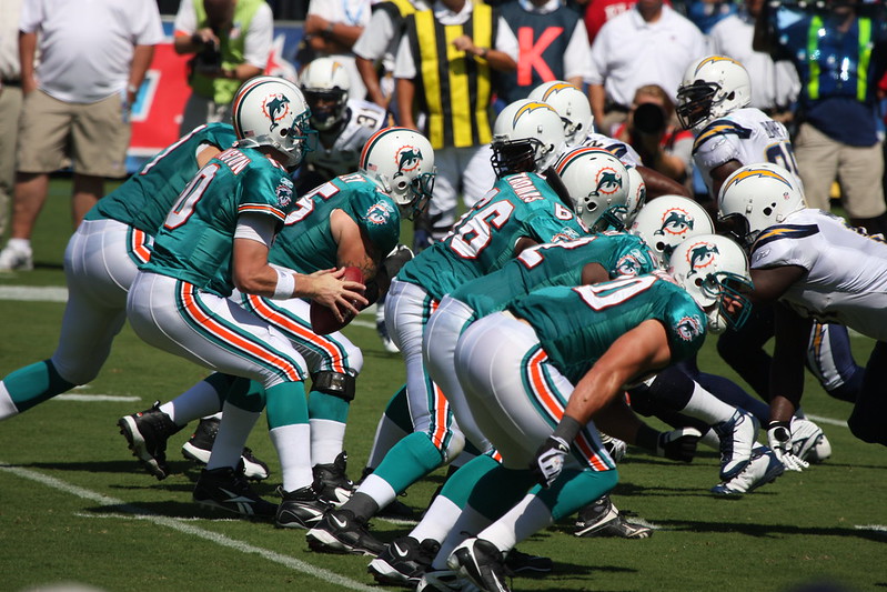 Expert