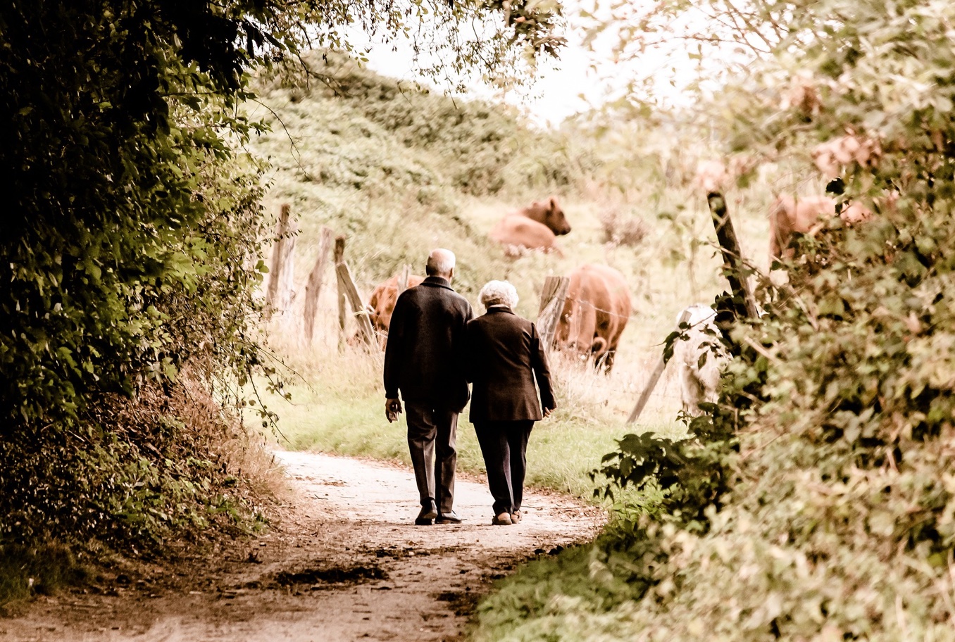 Older couple walking in nature; image by PICNIC-Foto-Soest, via Pixabay.com.