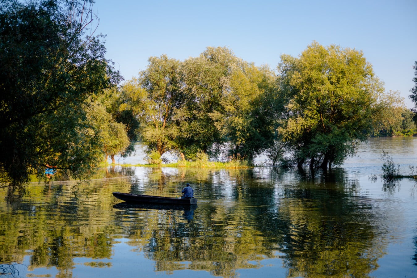 Man in boat on floodplain; photo by Drazen Nesic on