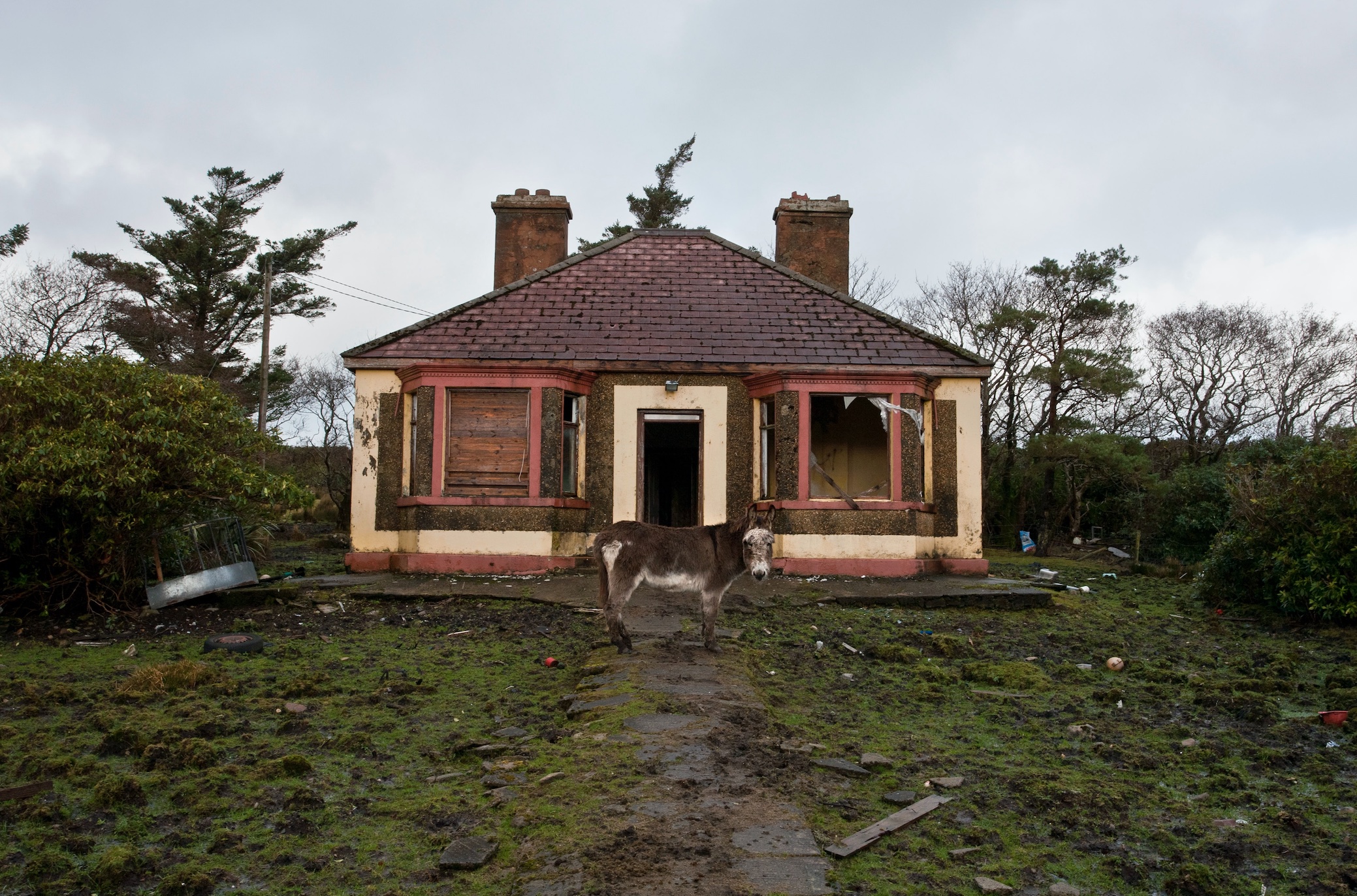 Run down house with donkey in front lawn; image by Roya Ann Miller, via Unsplash.com.