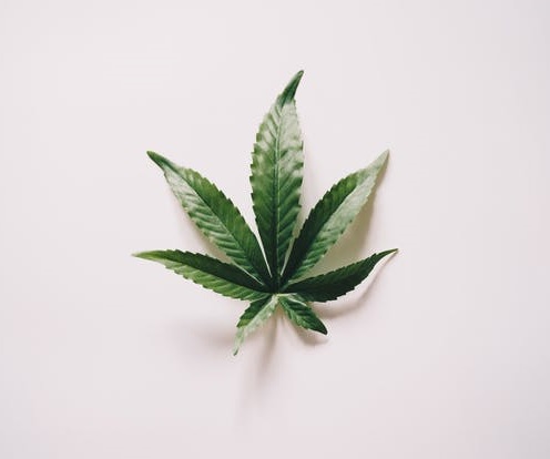 Marijuana Can Cause Strokes, Especially in Young Adults