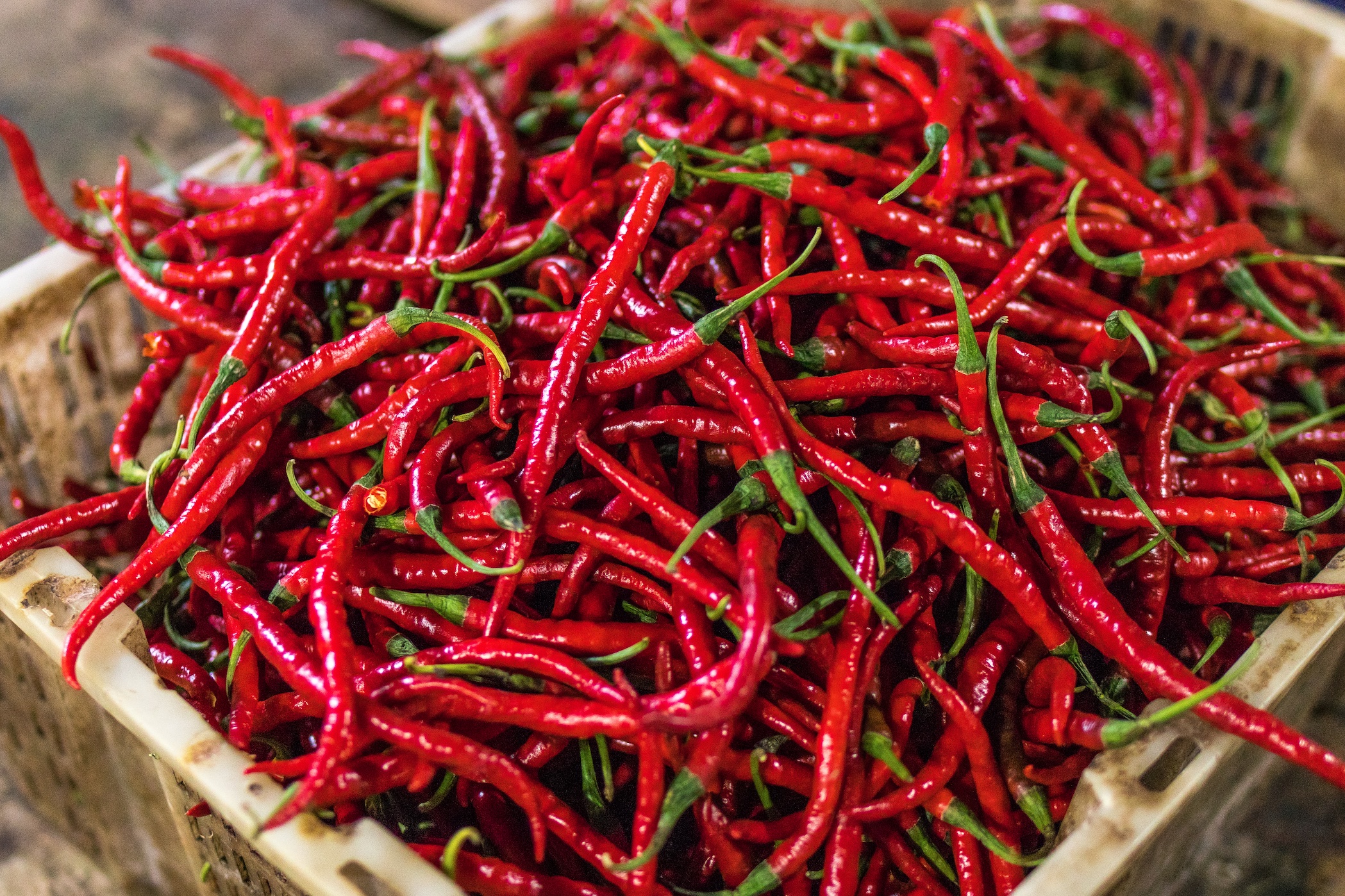 Red chiles; image by Artem Beliaikin, via Unsplash.com.