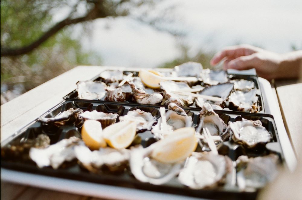 Raw Oysters from Korea May Present Norovirus Risk